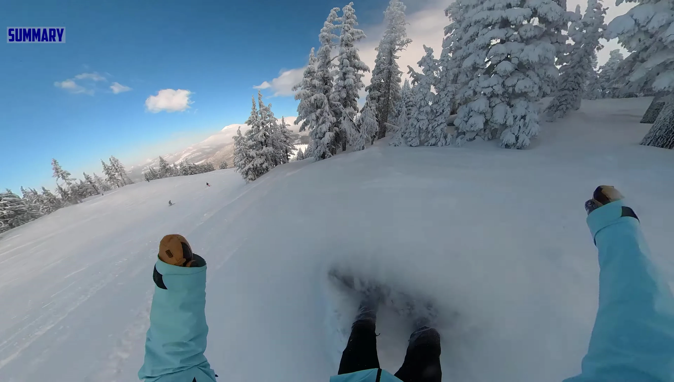 Close-up shot of the Salomon Dancehaul snowboard