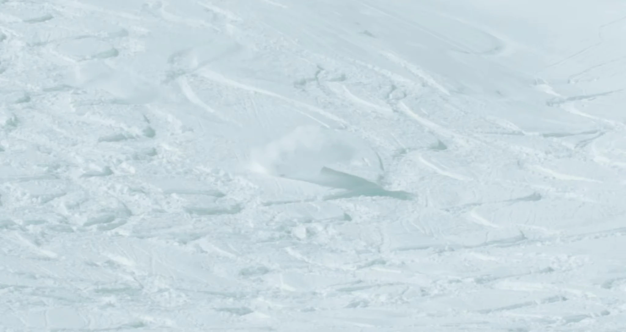 Close-up of the snowboard showing its flex and construction.