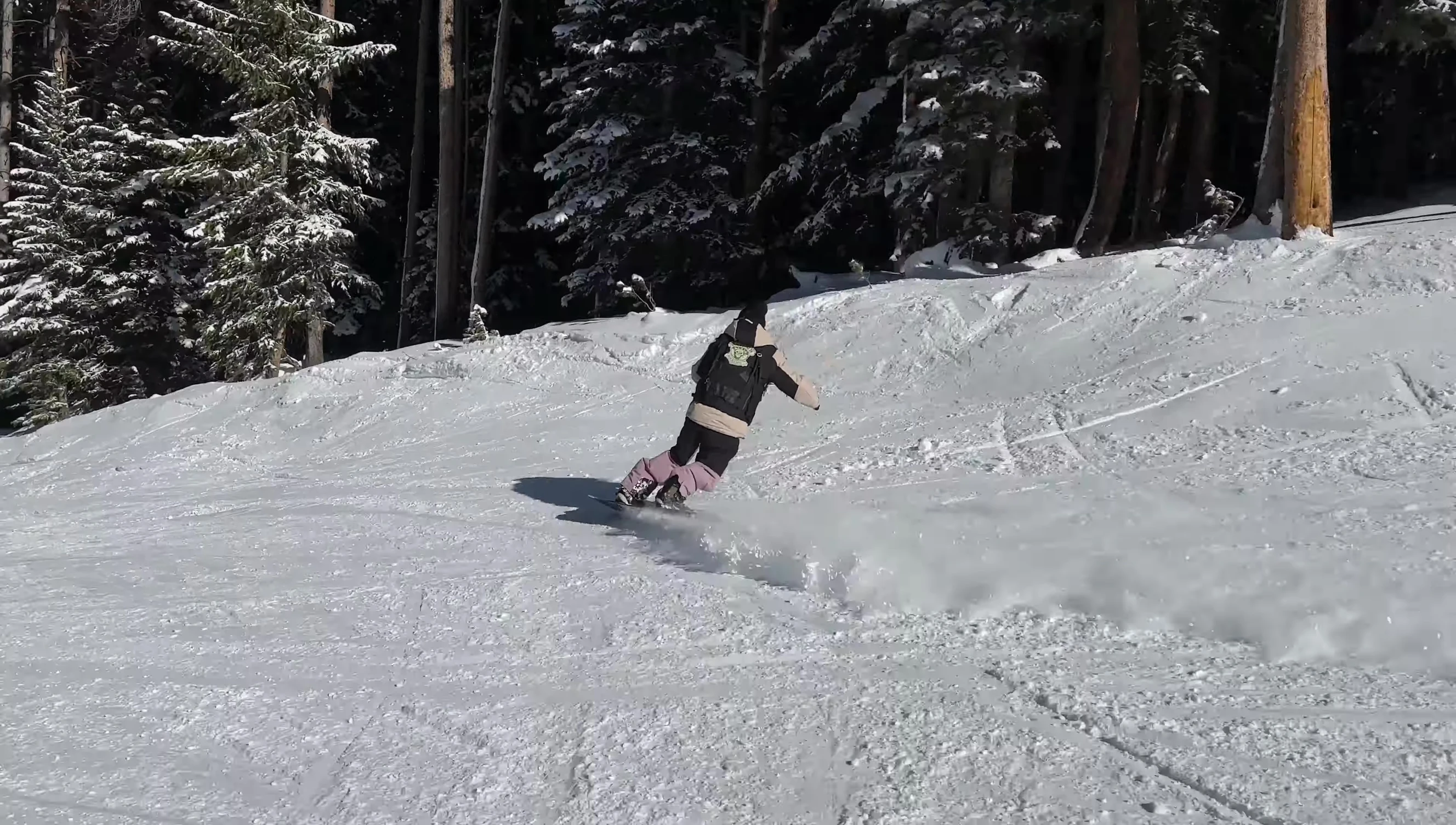 Surfy turn showcasing the board's maneuverability.