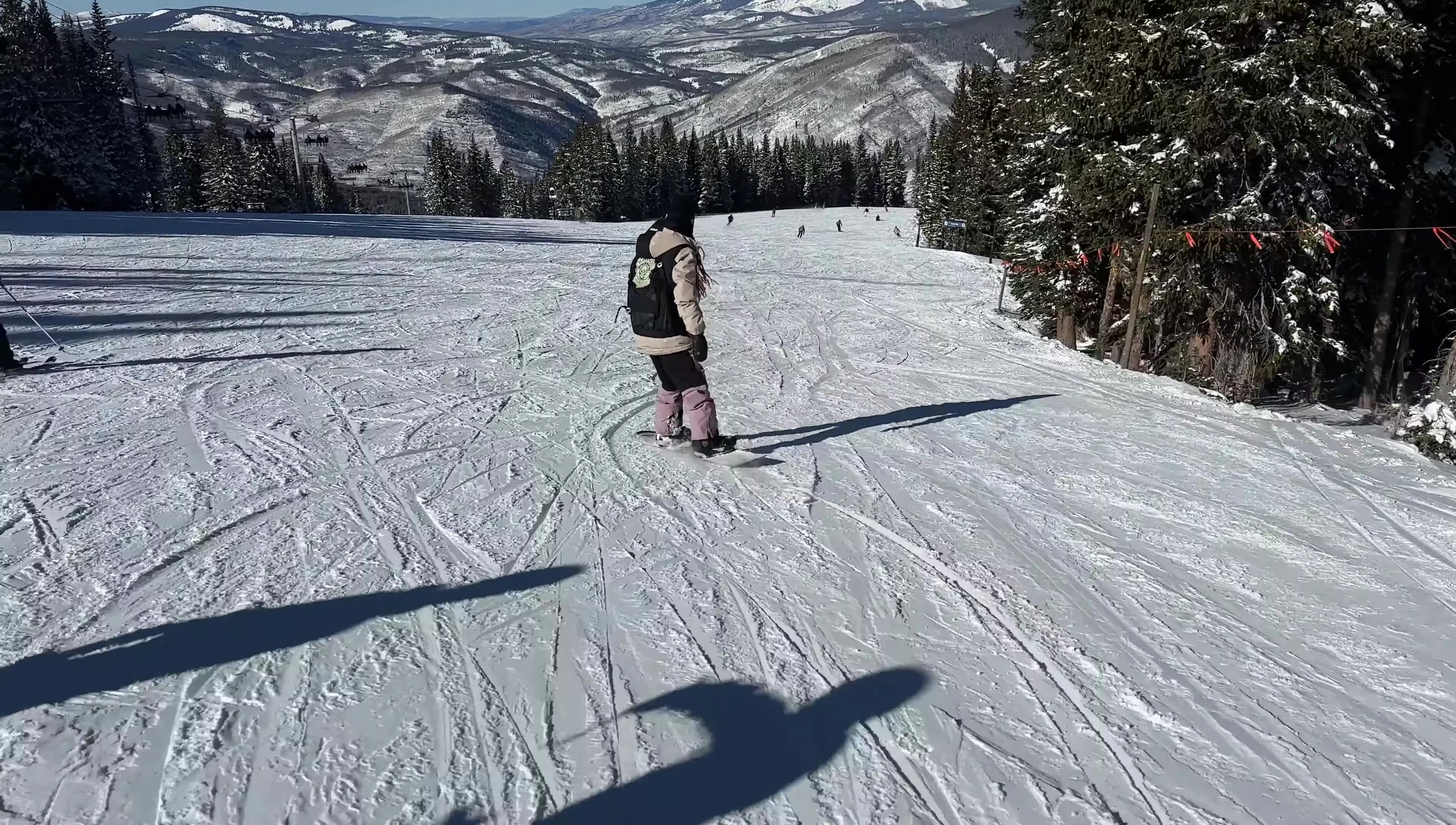 Rider smoothly carving a turn, highlighting the board's responsiveness.