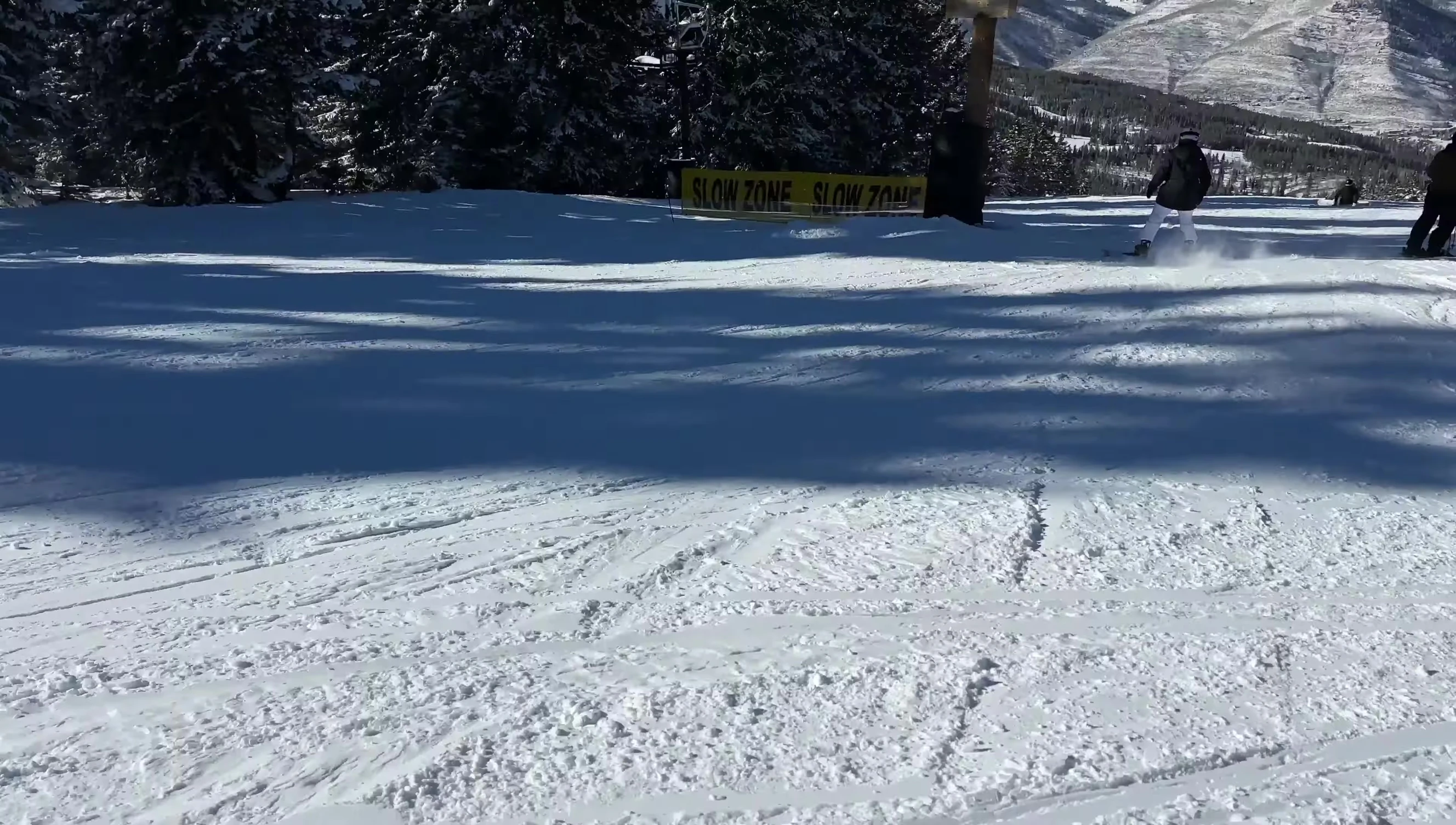 High-speed run showcasing the board's stability.