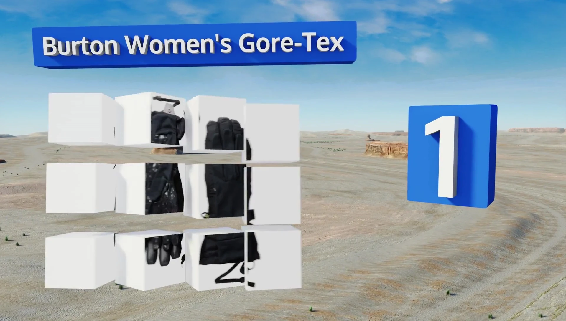 Burton Women's Gore-Tex Gloves