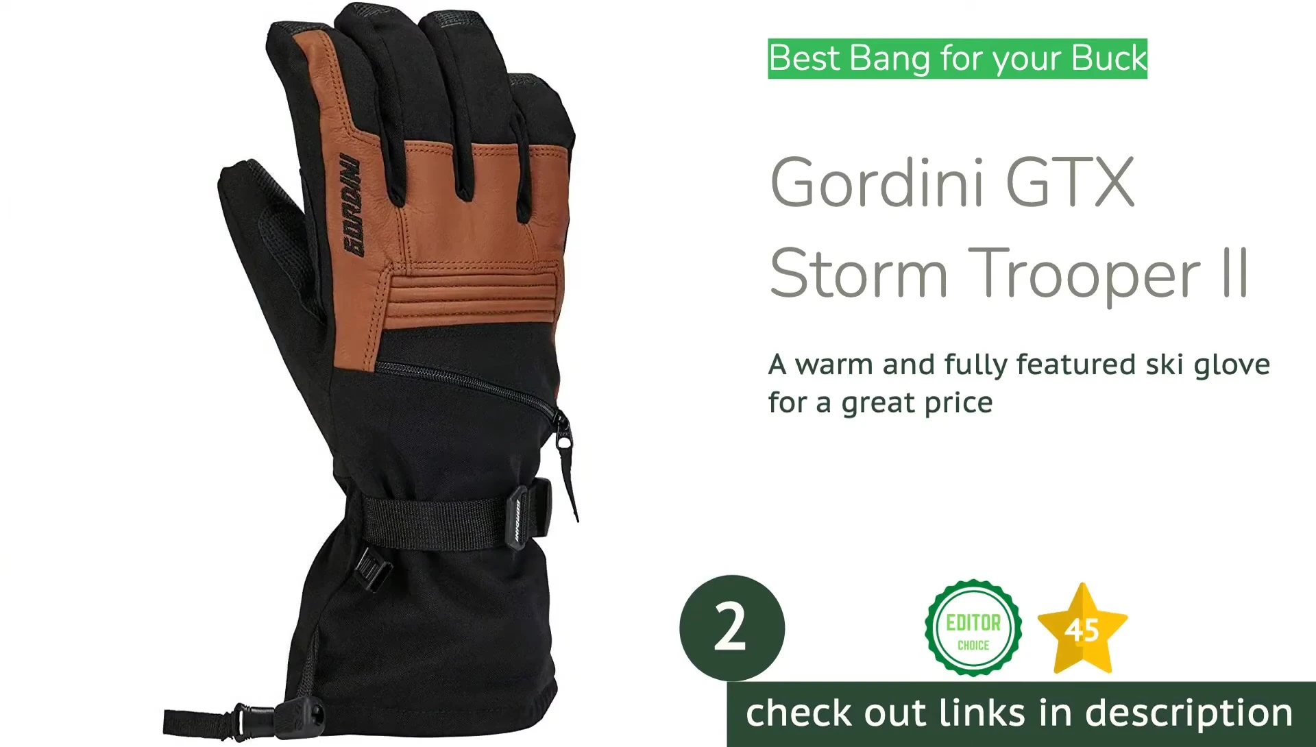 The Gordini GTX Storm Trooper 2 ski gloves.