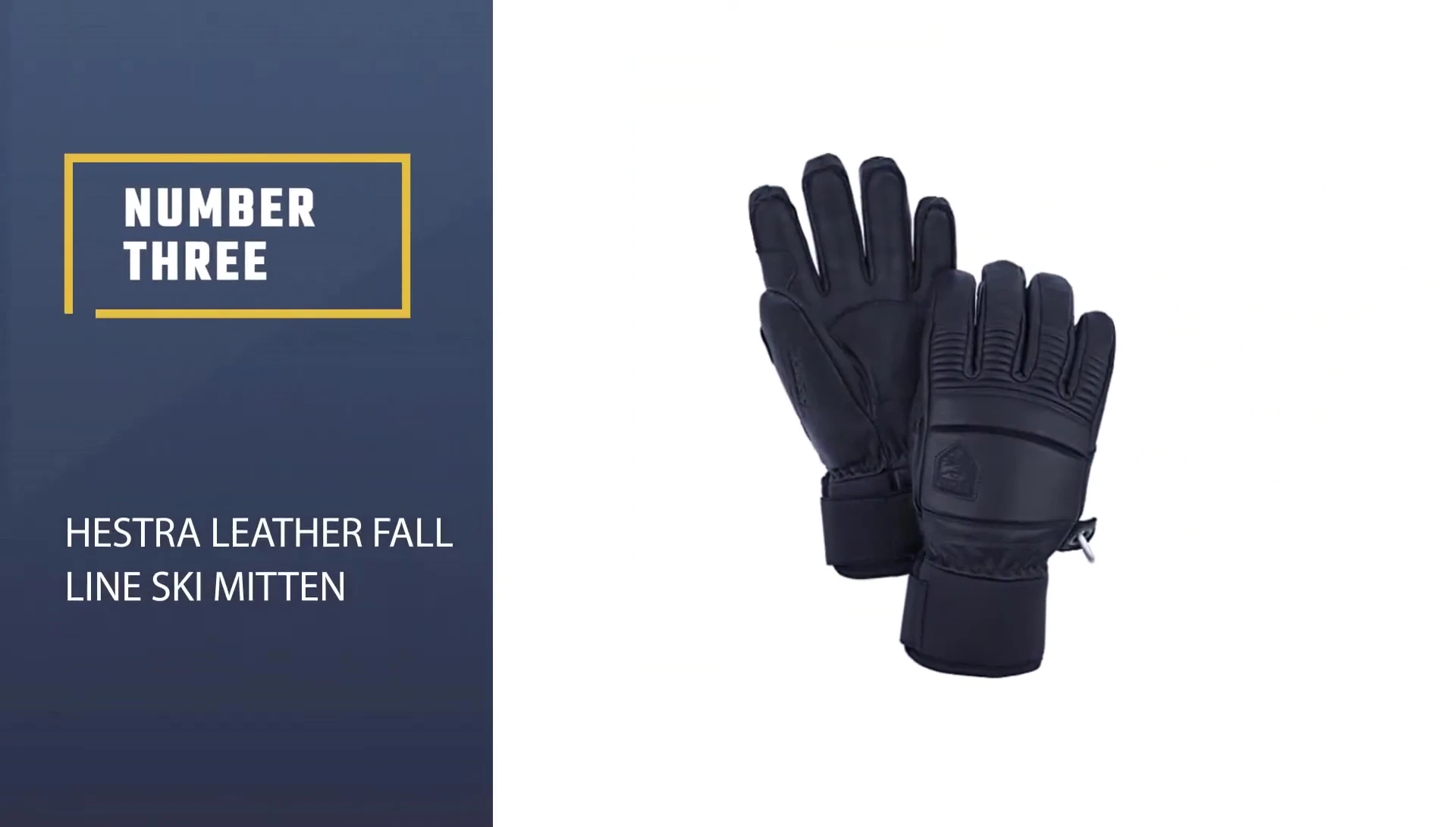 Hestra Leather Fall Line Ski Mittens showcased