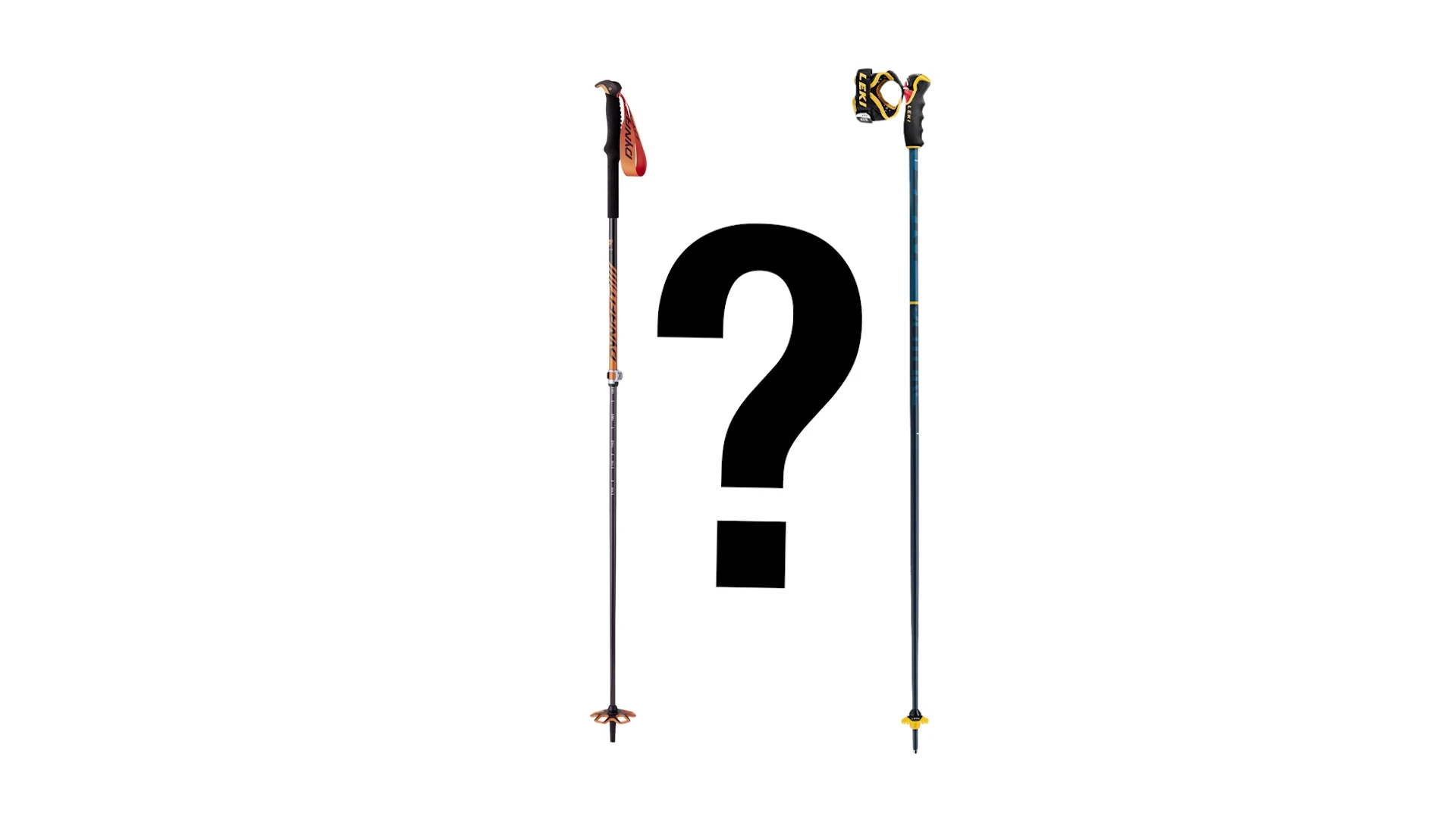 Close-up showing features like extended grip and adjustable length on a backcountry pole