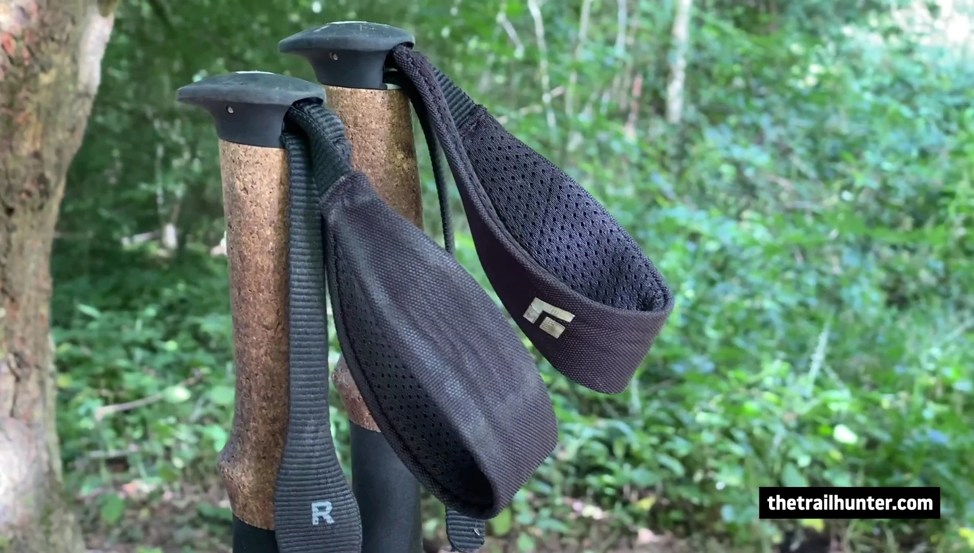 Trekking poles with dust and snow baskets.