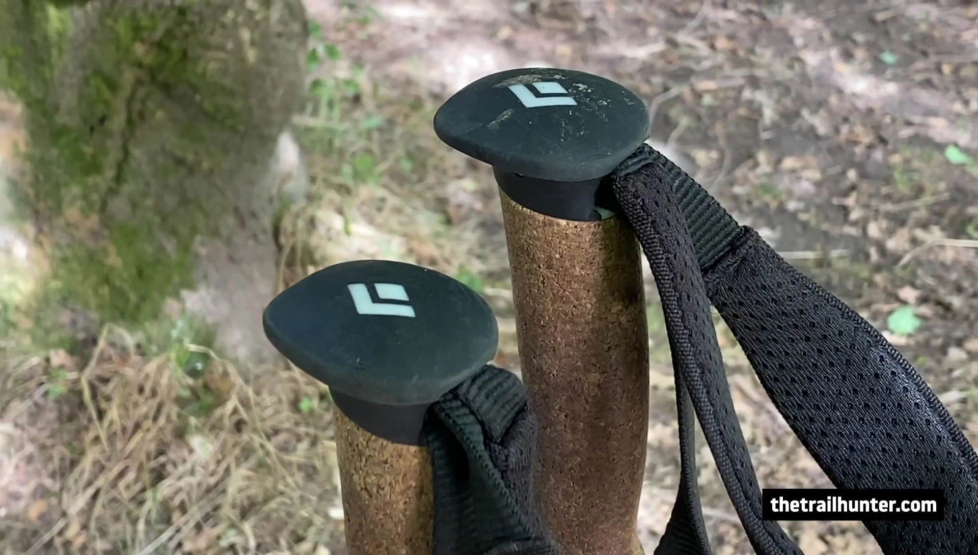 Rubberized handle on top of the pole.