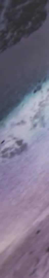 A snowboarder gracefully navigating a snowy slope