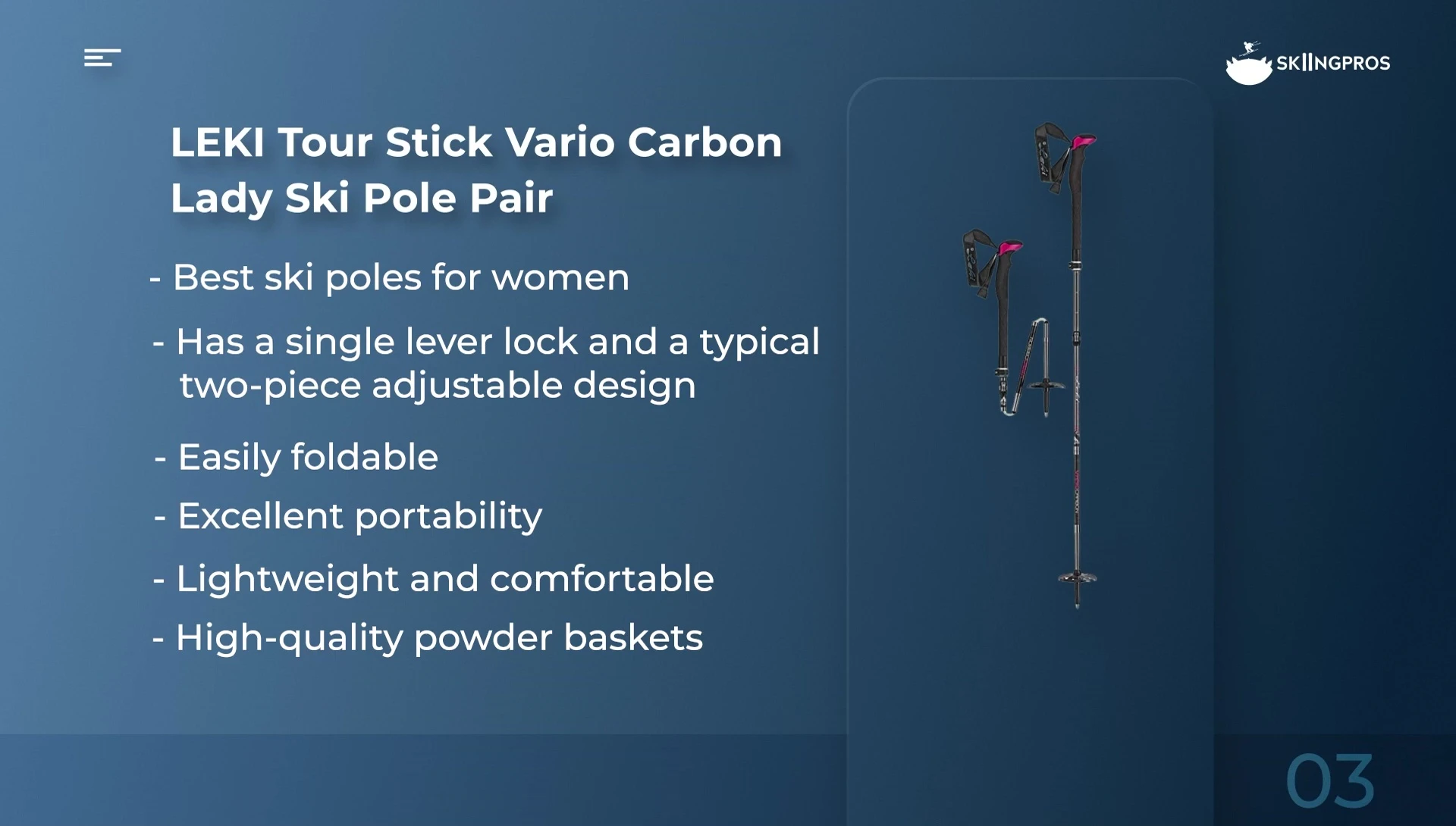Leki Micro Flash ski poles