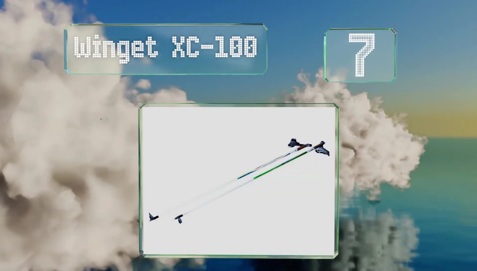 Wing it XC100 cross-country ski poles