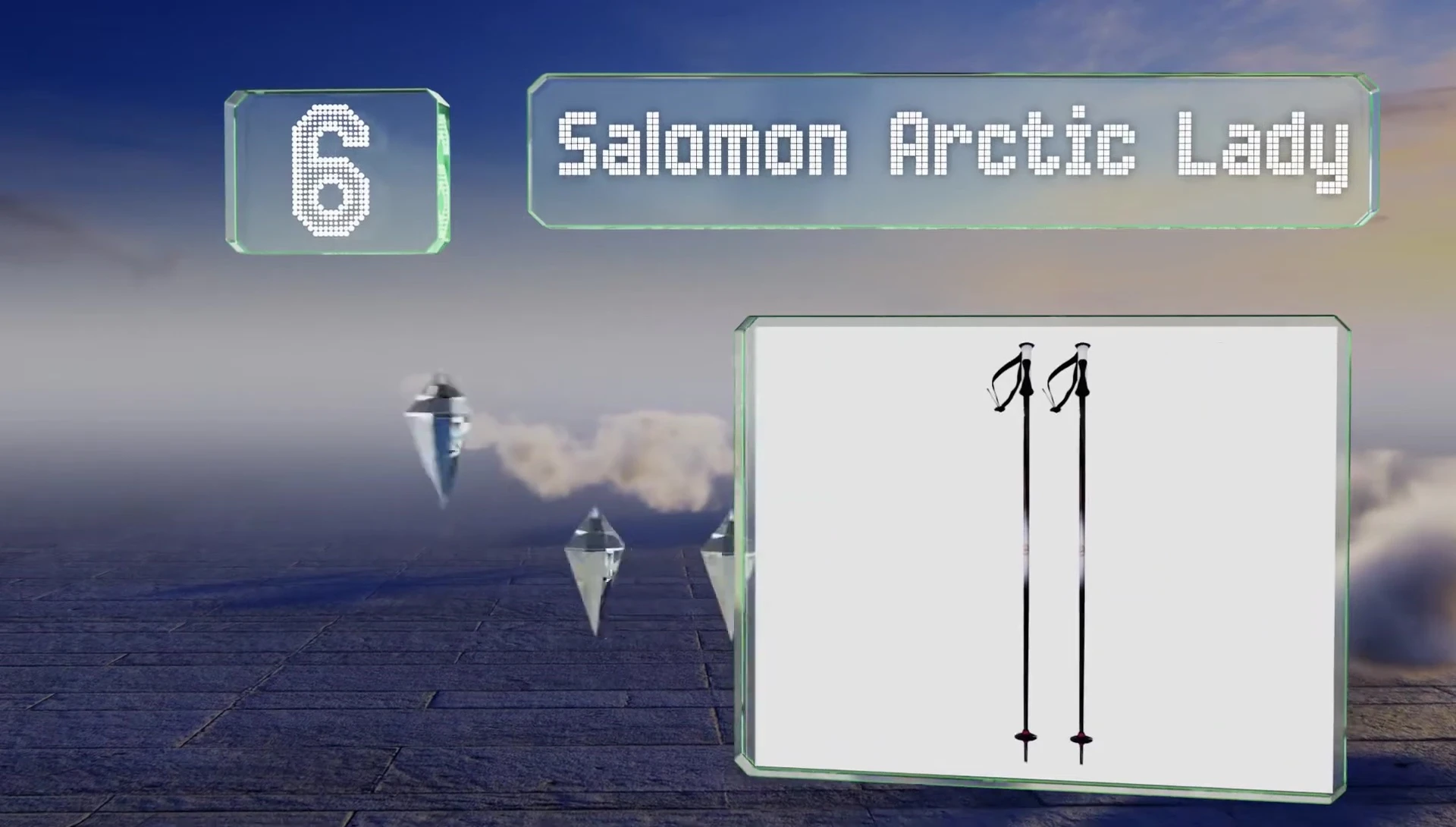 Salomon Arctic Lady ski poles