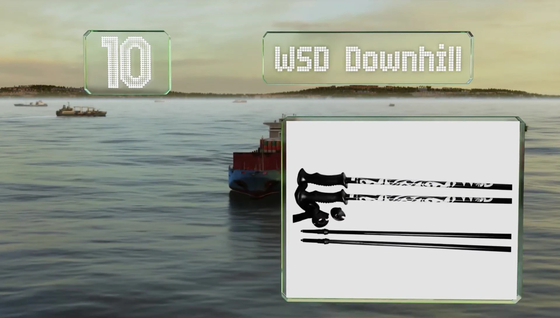 WSD downhill ski poles