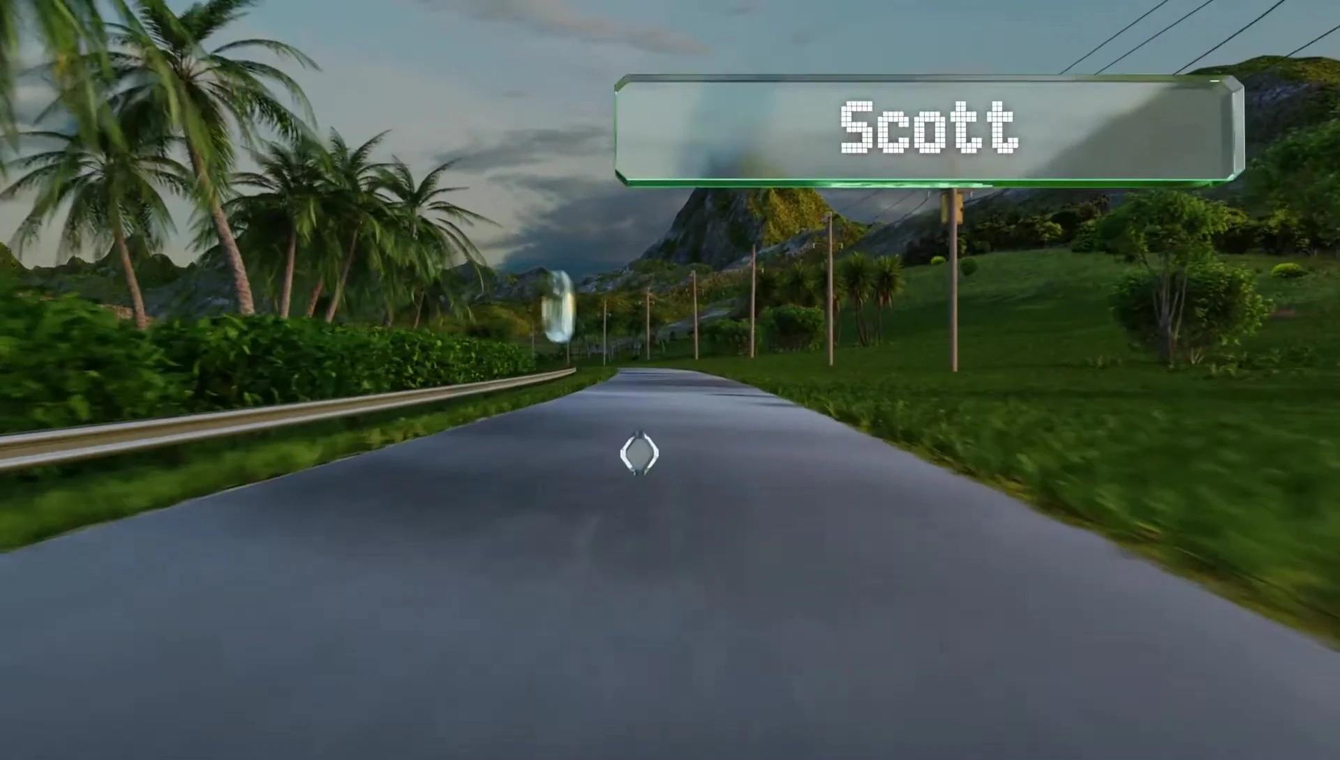 Scott Team Issue ski poles