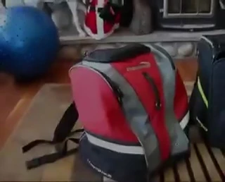 Comparison of the old and new Transpack bags