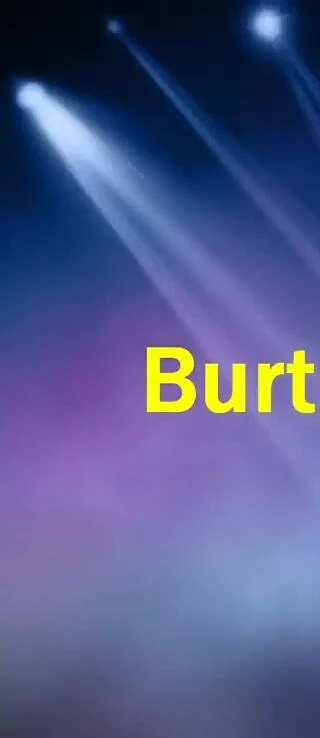 Burton Covered Insulated Pants