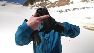 Outdoor Research Alpinite Gloves Review: Durable, Warm, and Dexterous?