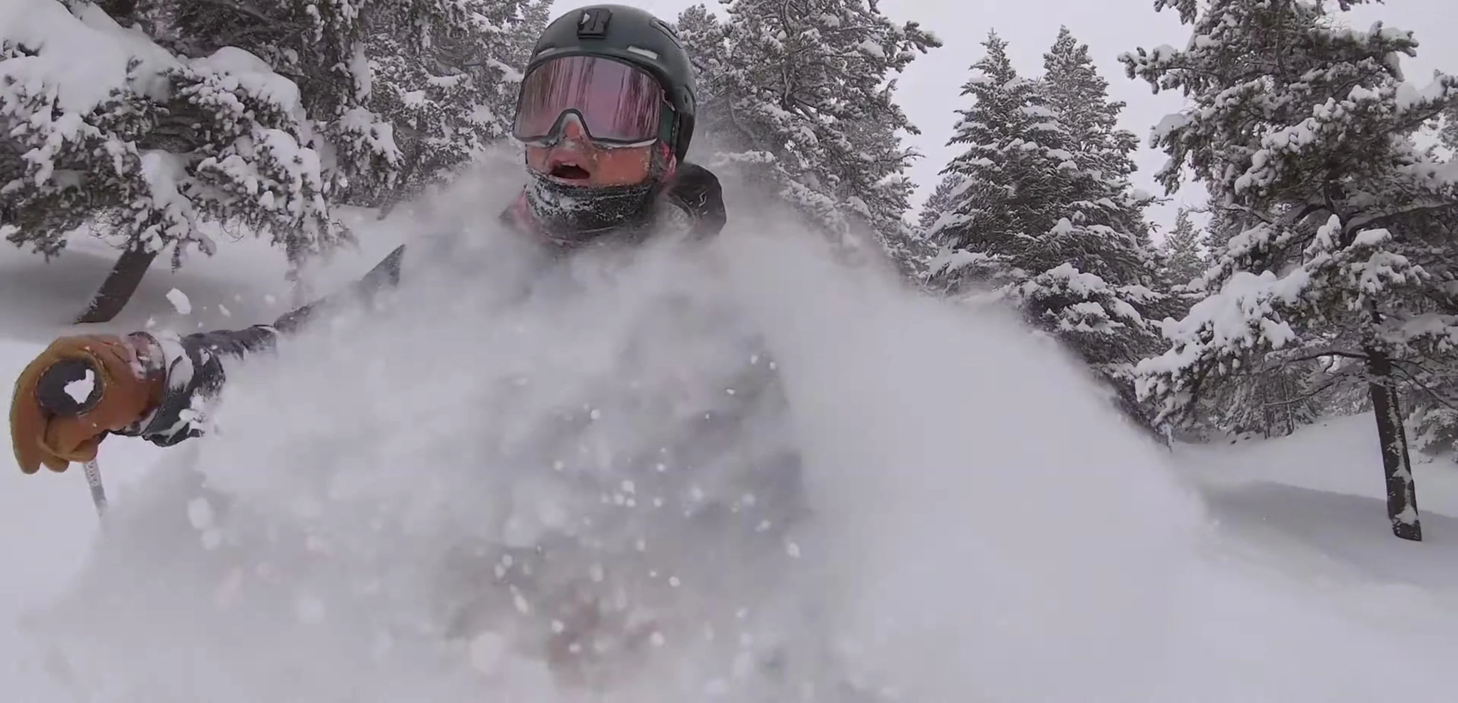 Longer skis providing enhanced floatation