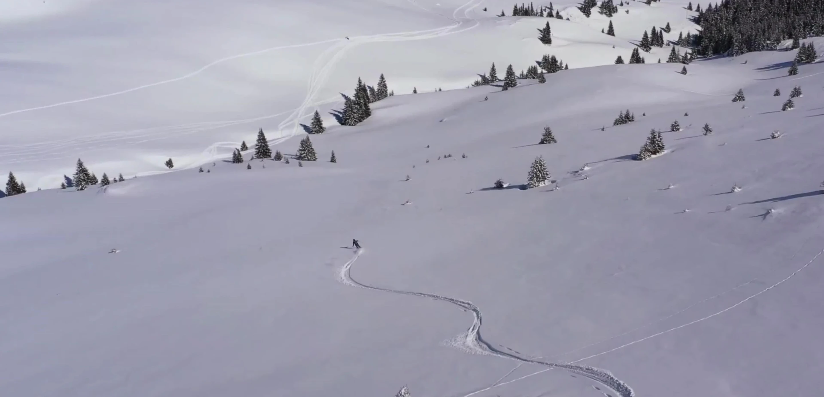 Stability of longer skis at high speeds