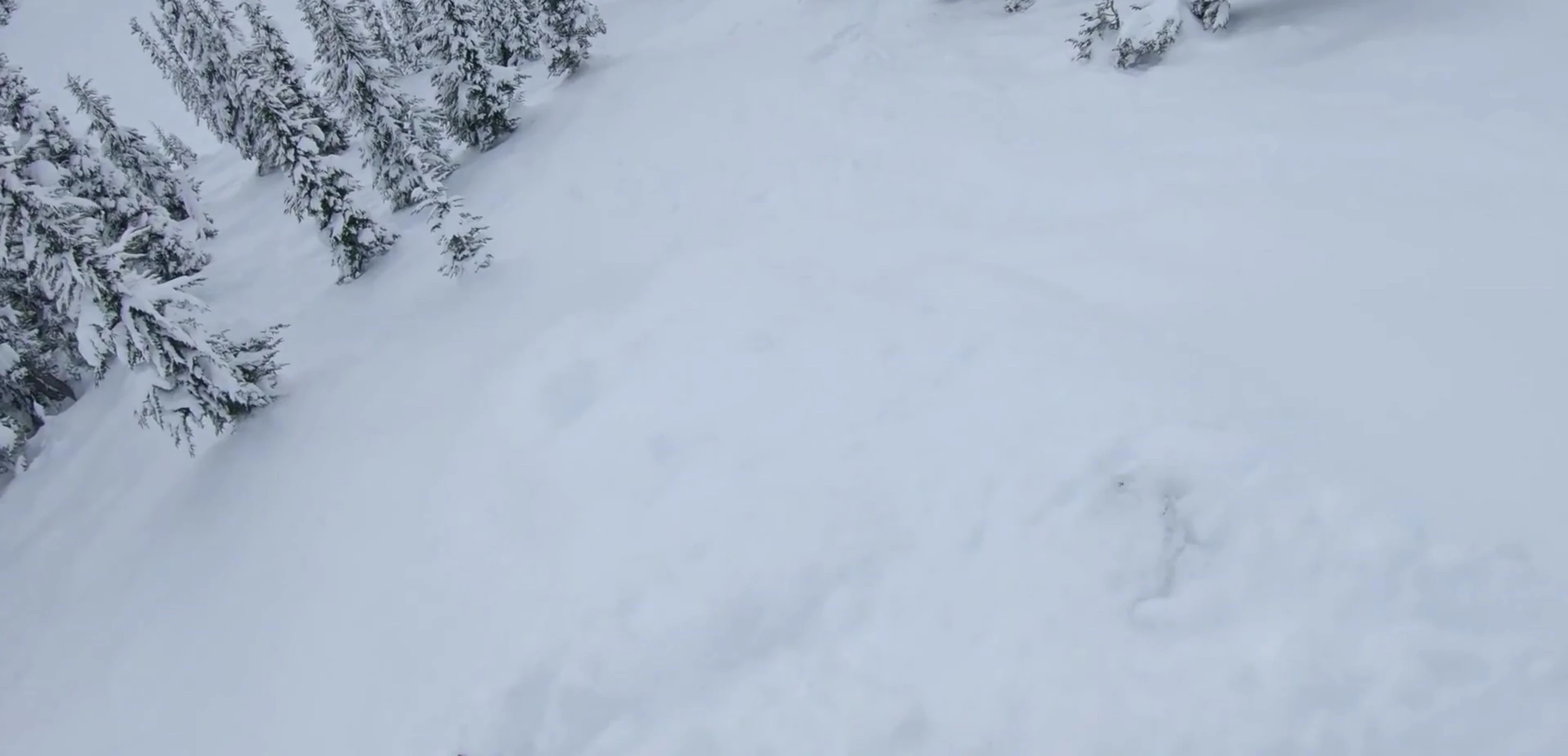Larger turning radius of longer skis
