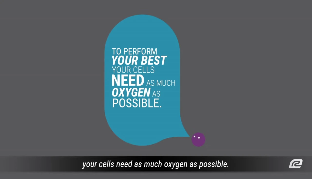 Image depicting the importance of oxygenated blood flow to muscles during exercise