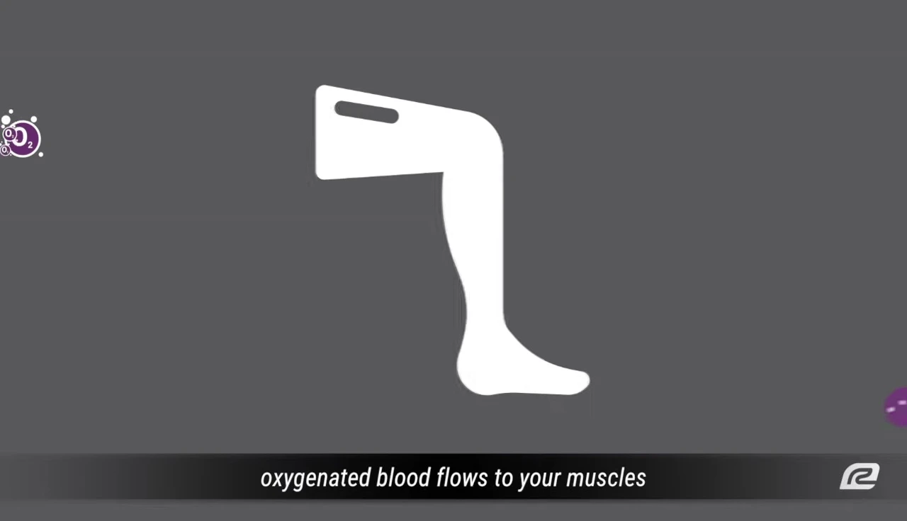 Visual representation of oxygenated blood flowing to muscles and removing lactic acid