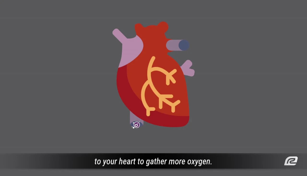 Graphic showing the percentage increase in blood flow with compression sleeves