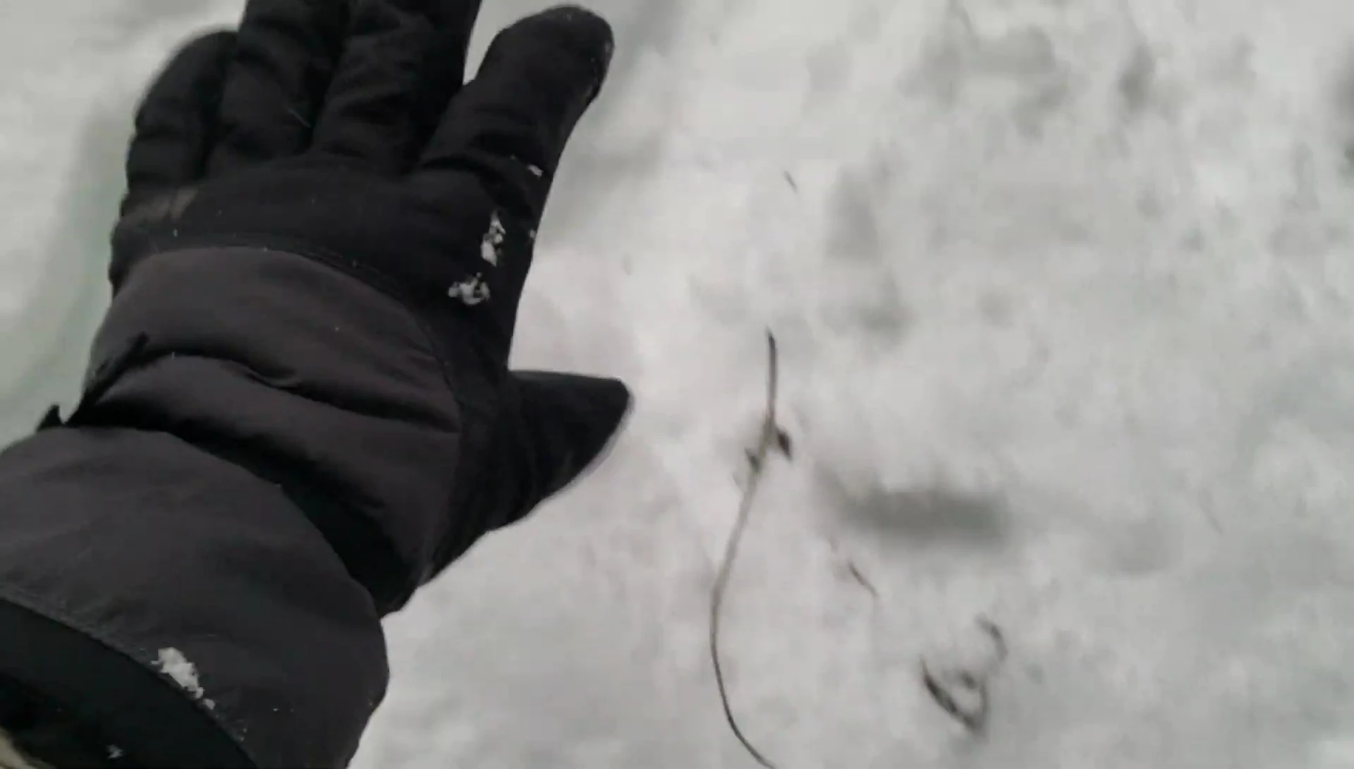 The reviewer during a snowshoe hike, demonstrating glove performance